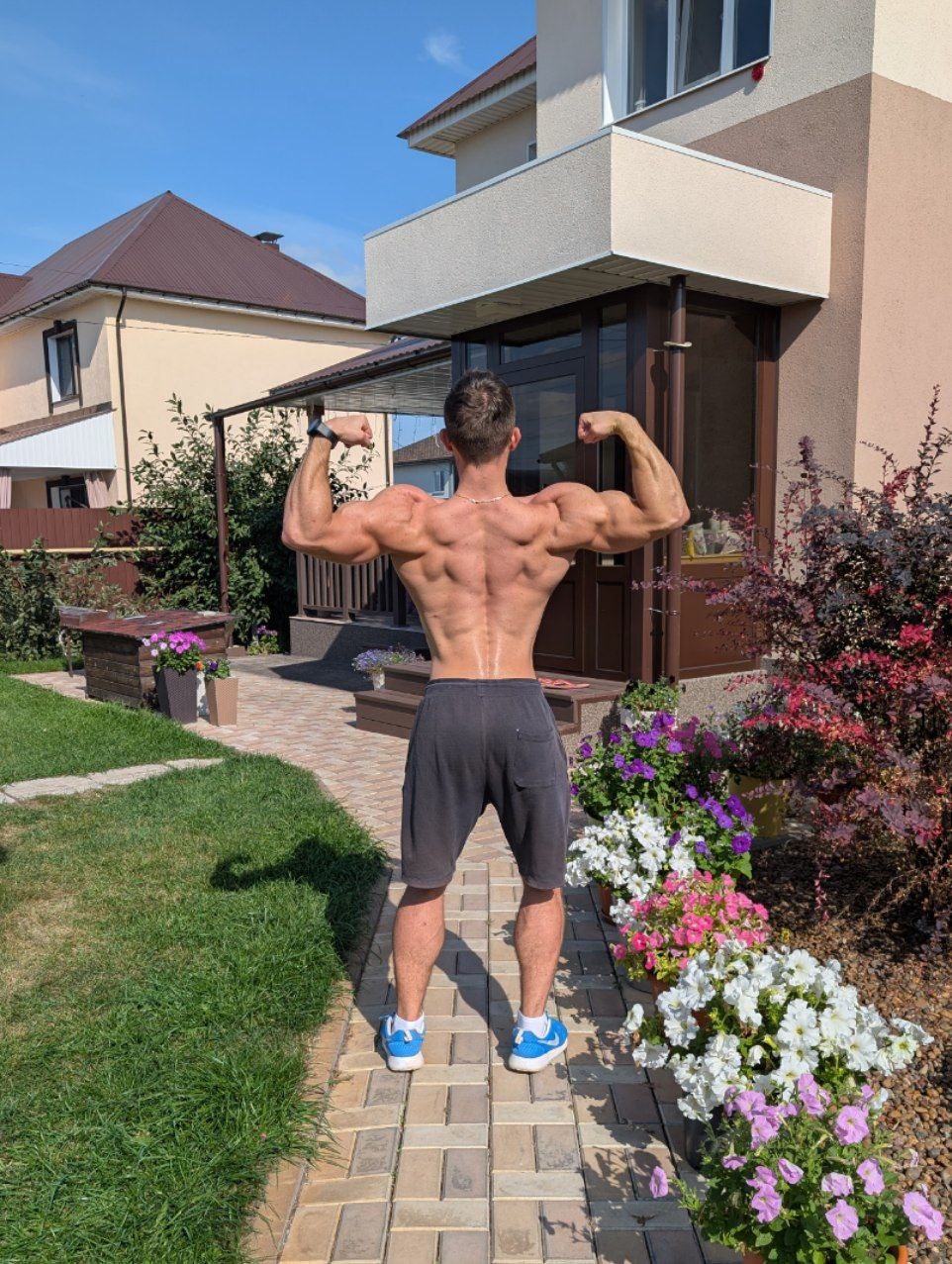 мускулатура